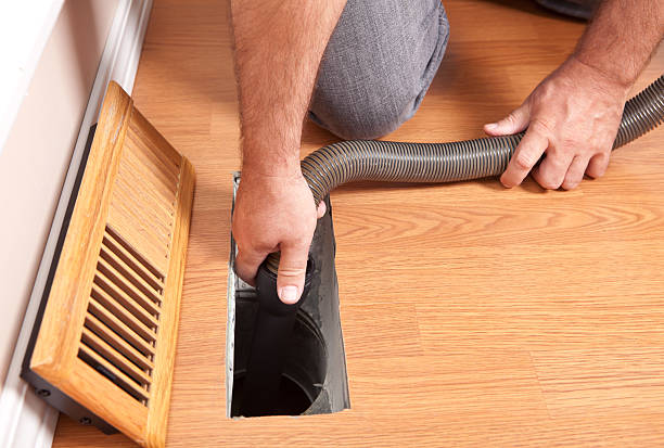 Best Air Duct Mold Removal  in Etowah, TN