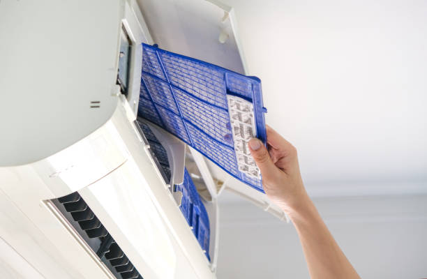 Best Air Duct Sanitizing Services  in Etowah, TN