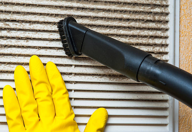 Air Duct Mold Removal in Etowah, TN